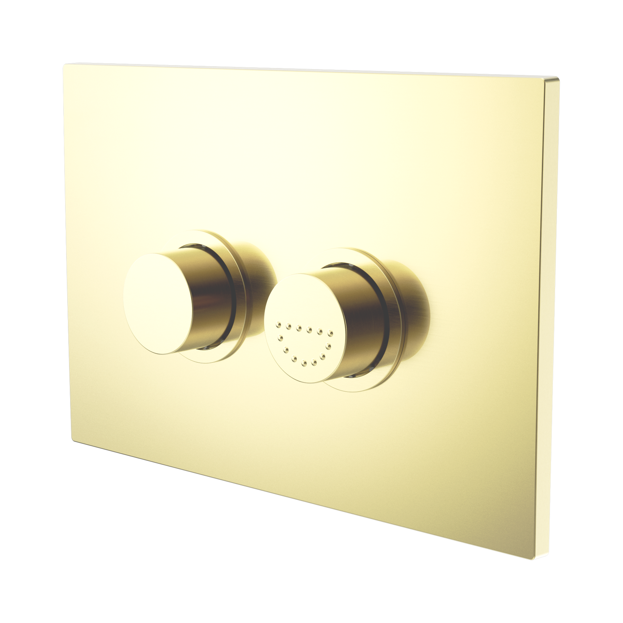 Nero Flush Plate