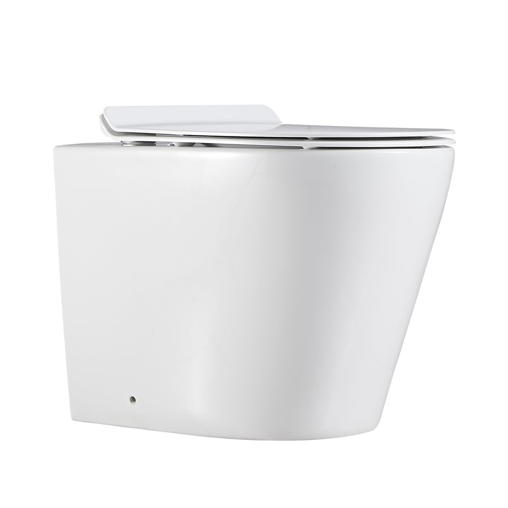 Agena Rimless  Wall Faced Floor Toilet Pan LK-AG104WFP
