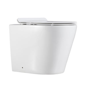 Agena Rimless  Wall Faced Floor Toilet Pan LK-AG104WFP