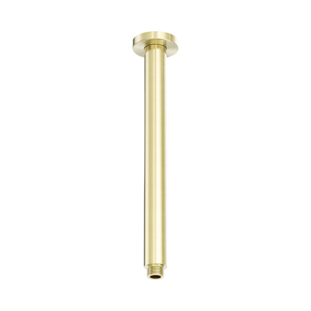 Zen Ss316L Round Ceiling Arm 300Mm Length