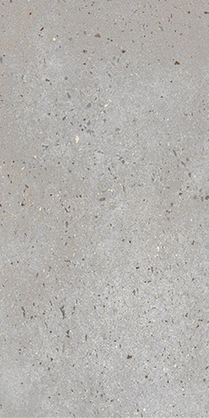 36PACASG-ZPC72155A PACIFIC ASH WET LOOK (SHINE) 300X600