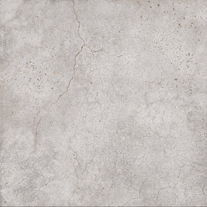 6PACGYG-ZPC72070A PACIFIC GREY WET LOOK (SHINE) 600X600