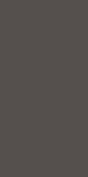 ALBGCH26-NJ6216 ALBION GLOSS CHARCOAL 200X600