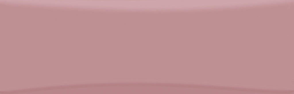 BELPKG13-59345 BELLA VITA PINK GLOSS 82X257