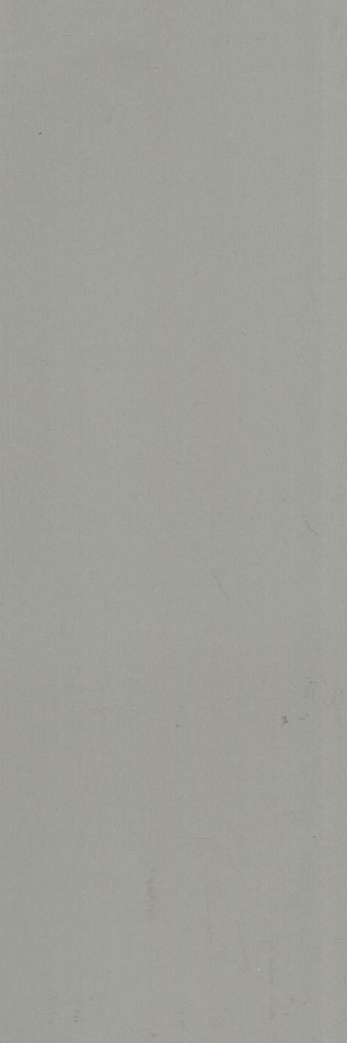 ENTGGY-13BC1 (OF031) ENTRANCE GLOSS GREY 100X300