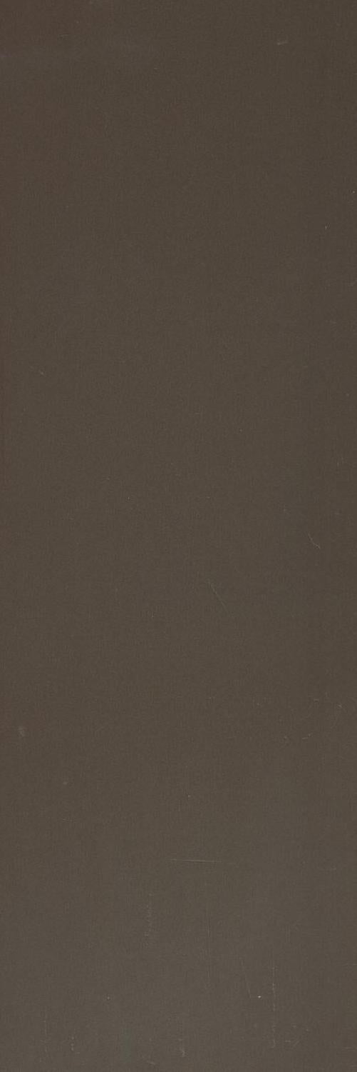 ENTGMO-13CD1 (OF041) ENTRANCE GLOSS MOCHA 100X300