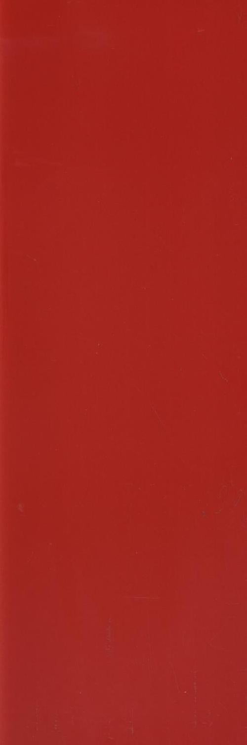 ENTGRD-13EK1 (OF101) ENTRANCE GLOSS RED 100X300