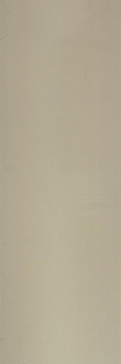 ENTGTU-13BG1 (OF071) ENTRANCE GLOSS TAUPE 100X300