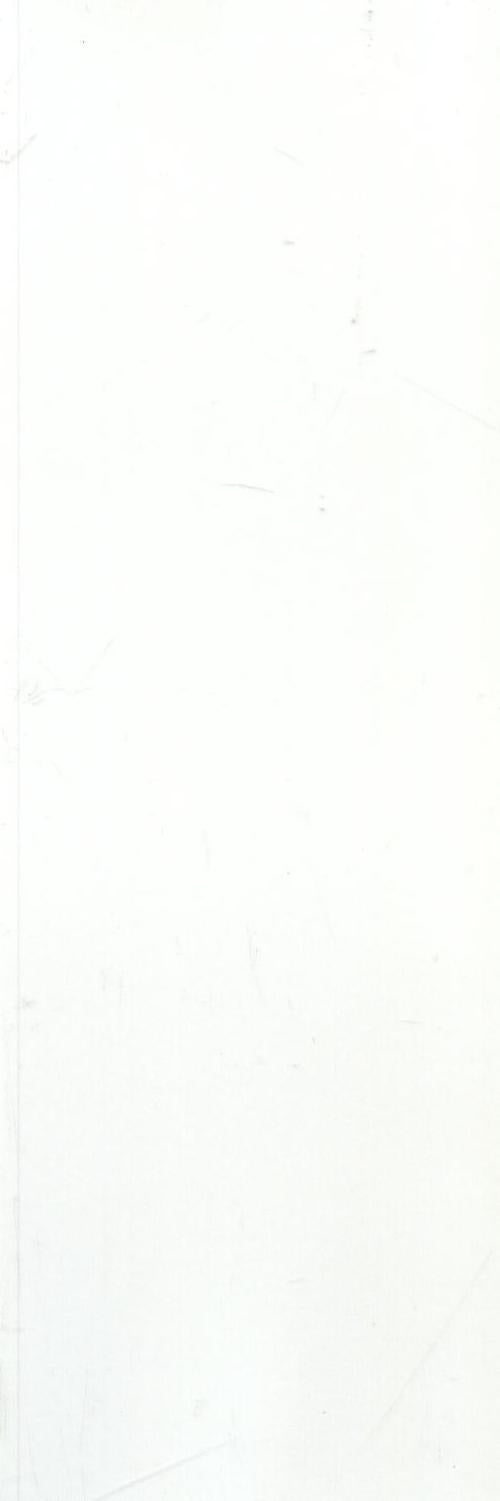 ENTSWH-13AW2 (OF012) ENTRANCE SATIN WHITE 100X300