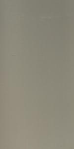 KIGAS-NC2449 (NH2449) KINGSFORD GLOSS ASH 200X400