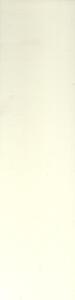 NAMGAL-14AB1 (OT021) NAMBUCCA GLOSS ALABASTER 100X400