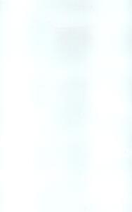 NOWGWWH-28AW1Y (OH011Y) NOWRA WAVY GLOSS WHITE 250X400