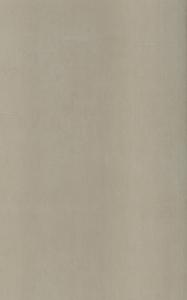 VERCR254-VERTIGO CREAM SAND WT 250X400